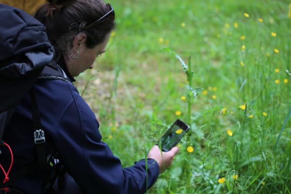 Suivi des papillons &copy; Nicolas Macaire / LPO